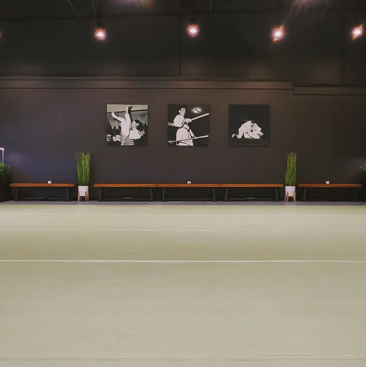 The academy's main training room, showing the mat, back wall, and framed artwork.