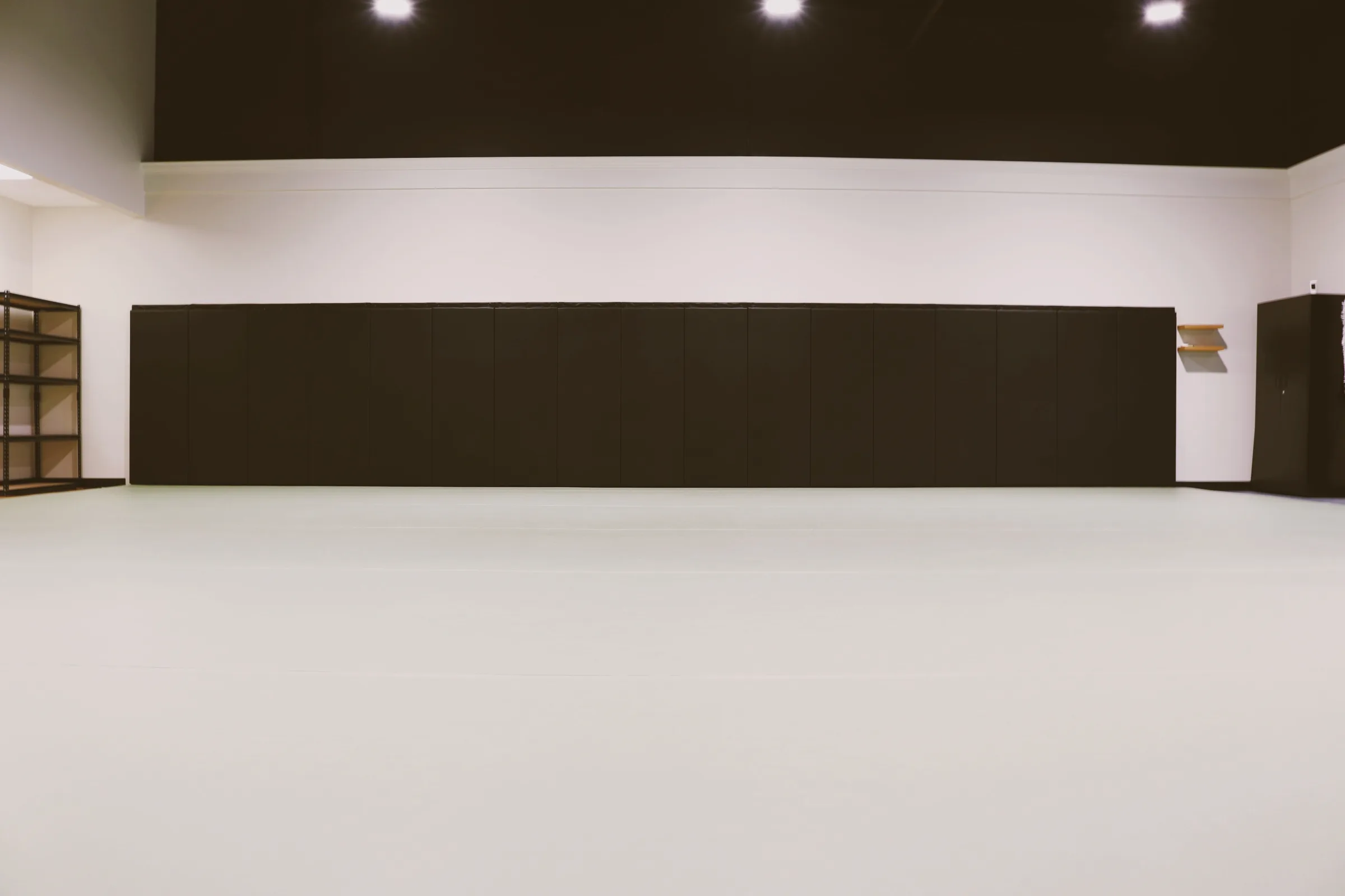 The academy's main training mat, empty and ready before class.